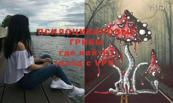 прущая мука Аркадак