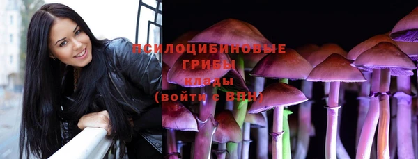 прущая мука Армянск