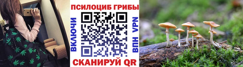 Псилоцибиновые грибы MAGIC MUSHROOMS купить цена Новомичуринск